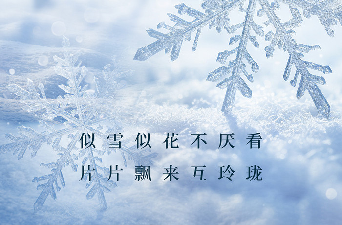 小寒传统二十四节气雪花冬日创意海报