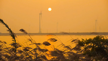 深秋自然风景芦苇荡夕阳日落风景4K视频