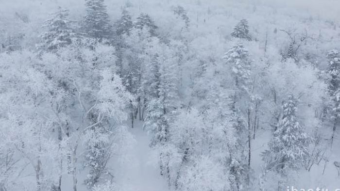 中国雪乡雾凇冰雪十里画廊航拍