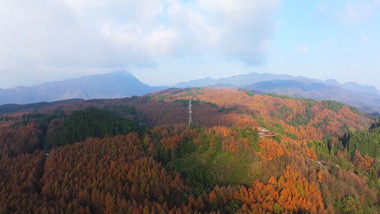 重庆山王坪秋天彩色山林风光航拍