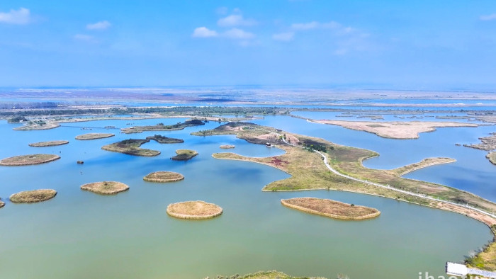 盐城沿海湿地风景自然风光4K航拍