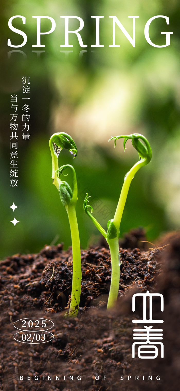 宫墙古建筑桃花立春节气摄影图模板-包图网