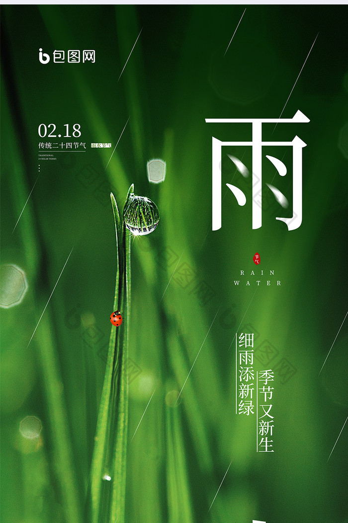 雨水传统节气绿色植物摄影图宣传海报