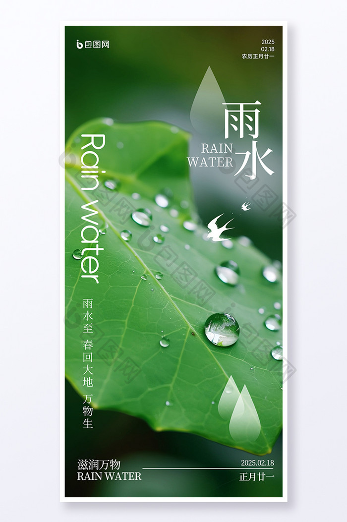 春天春季雨水节气简约摄影海报