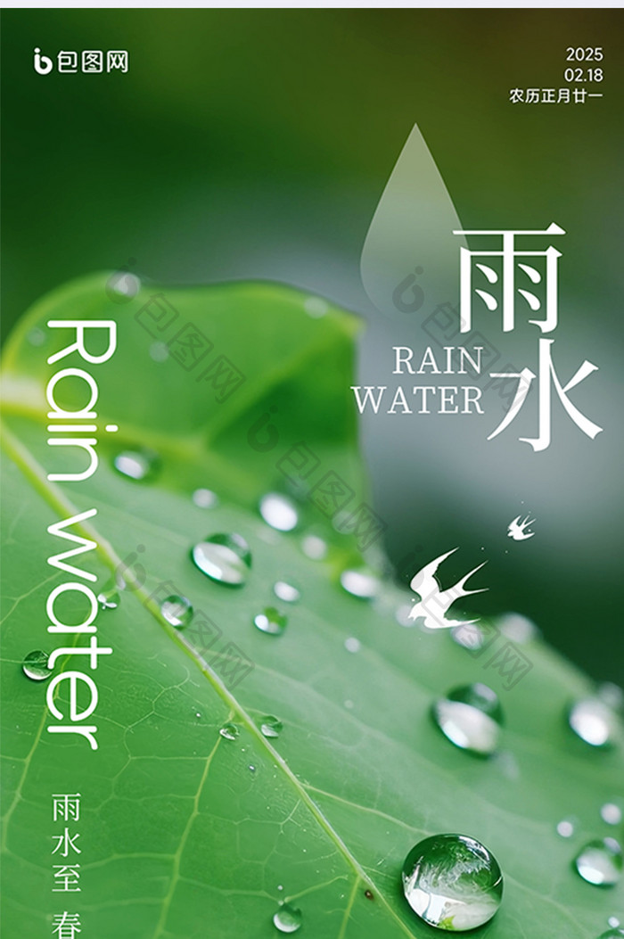 春天春季雨水节气简约摄影海报