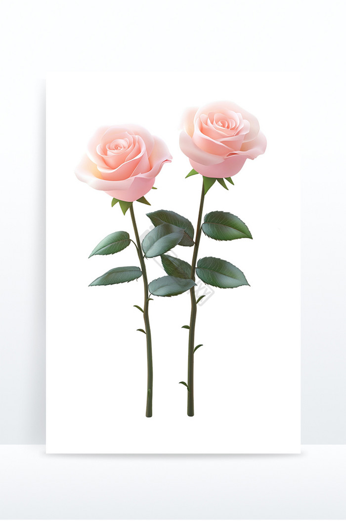 粉色玫瑰花素材