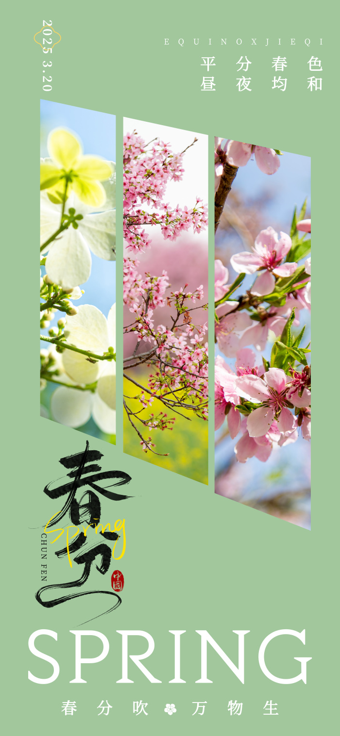 春分节气24节气春分摄影图模板-包图网