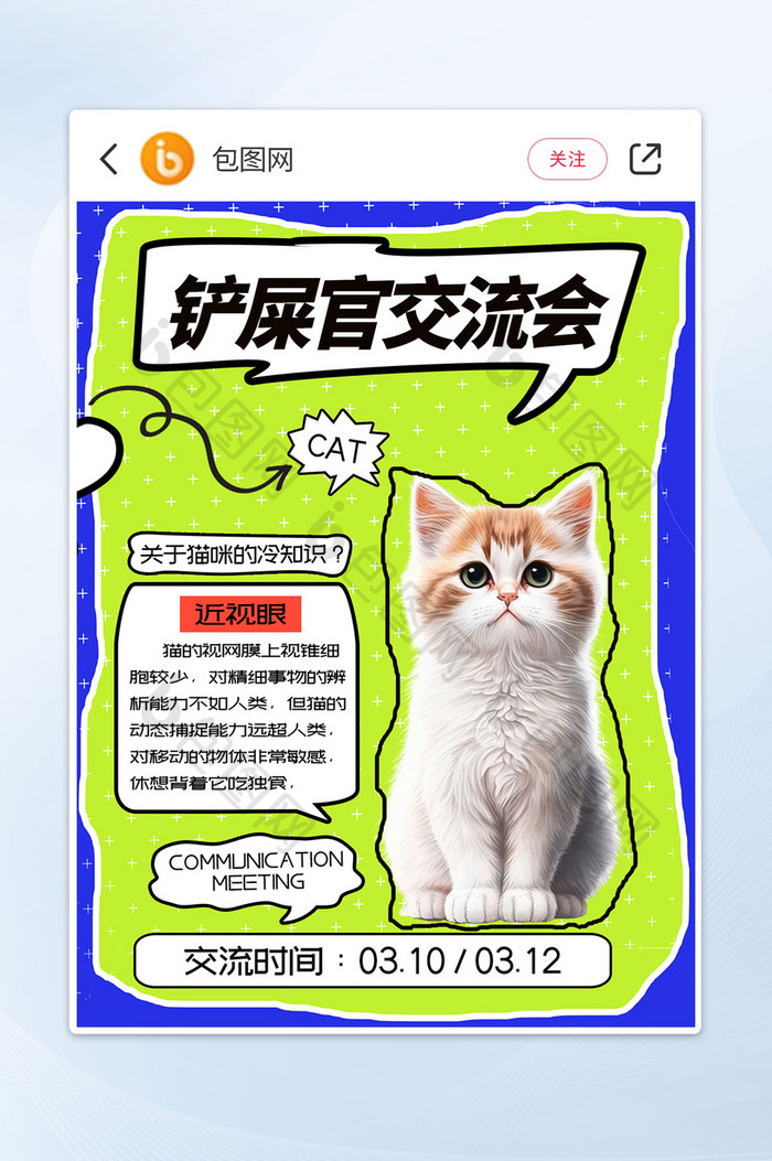 配色鲜明宠物猫铲屎官交流会小红书配图