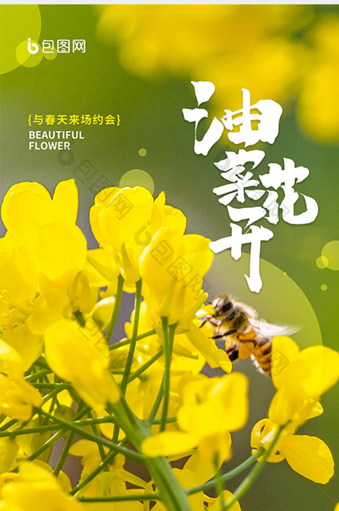 清新春天赏花季油菜花摄影图海报