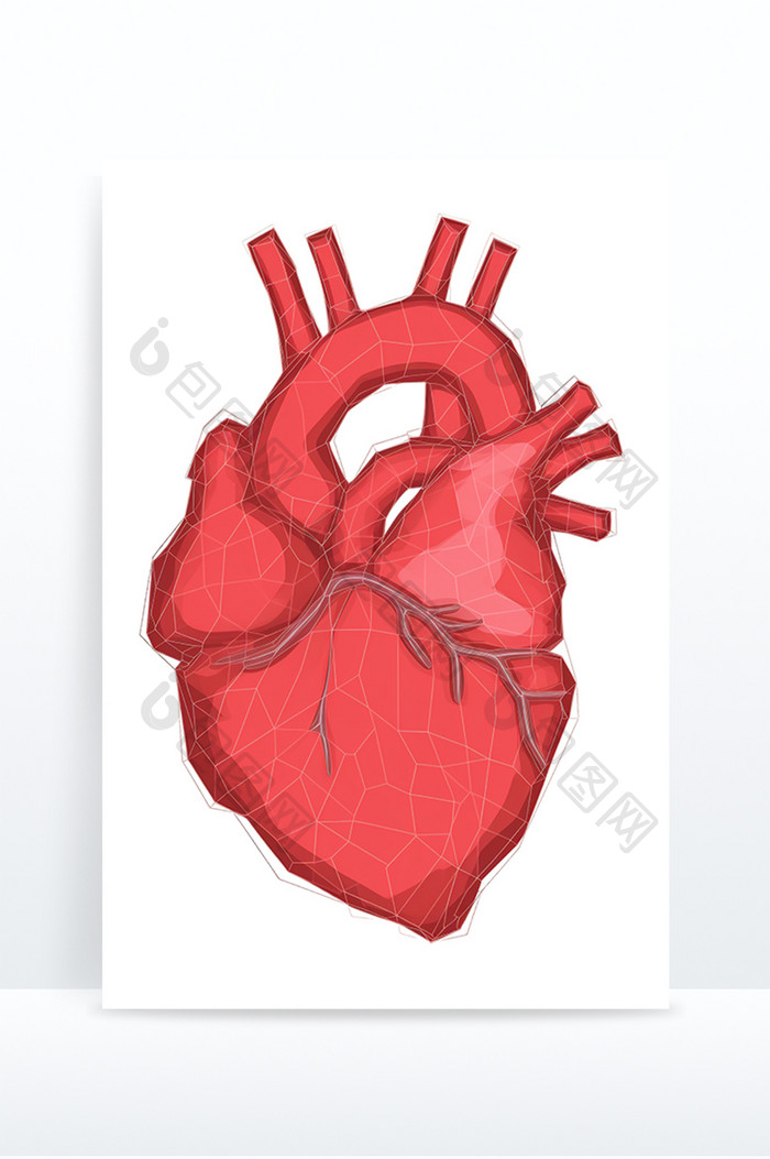心脏解剖心血管生理免抠元素