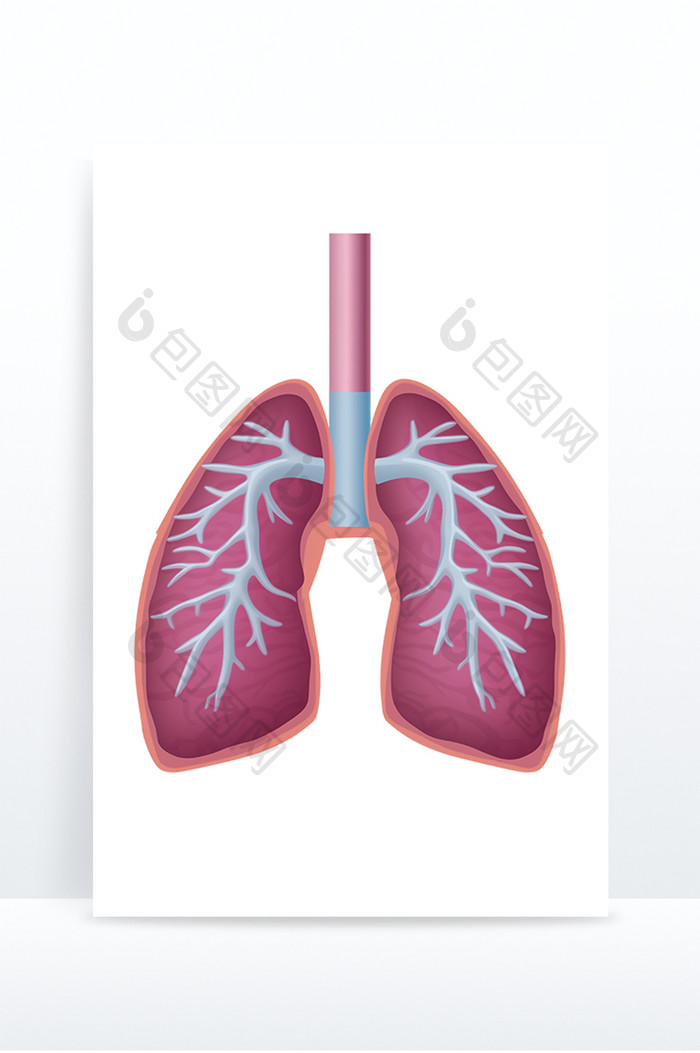 肺部医学呼吸系统解剖免抠元素