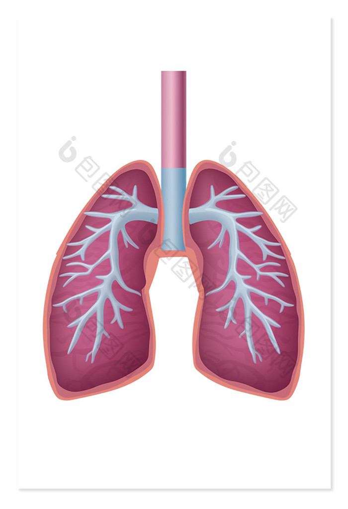 肺部医学呼吸系统解剖免抠元素