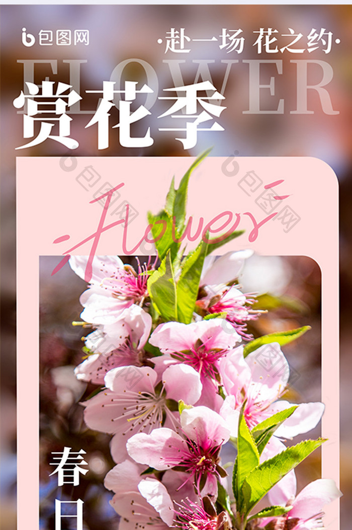 春季踏青赏花季粉色桃花摄影图新海报