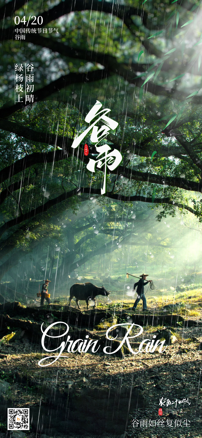 谷雨节气24节气摄影图模板-包图网