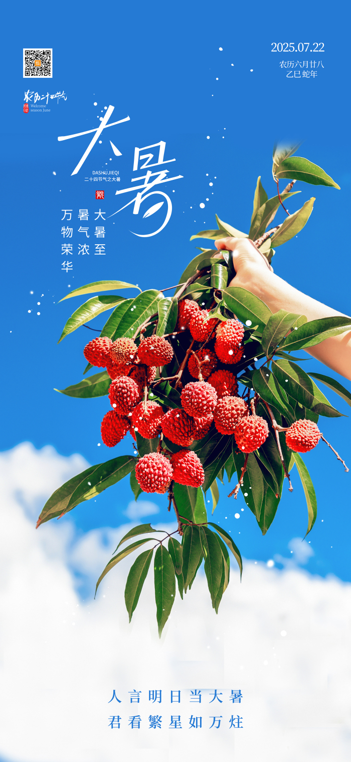 大暑二十四节气水果荔枝蓝天白云美模板-包图网