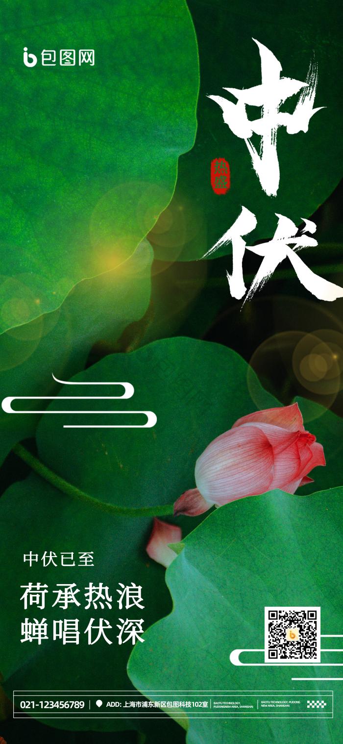 夏季荷花池塘女孩三伏天中伏模板-包图网