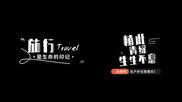 文旅宣传综艺节目电影质感简洁渐变字幕花字
