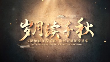 历史老照片怀旧图文多图片展示AE模版