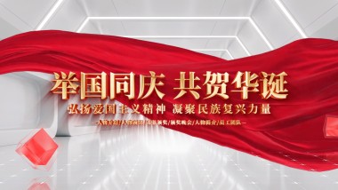 明亮党政多图片照片展示AE模版