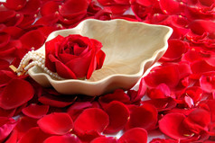 红玫瑰鲜花花瓣 spa 芳香疗法