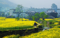 婺源县农村景观