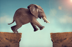 飞跃的信仰概念一头大象跳跨决口