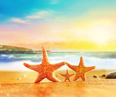 家庭黄色的沙滩上的海星离大海很近