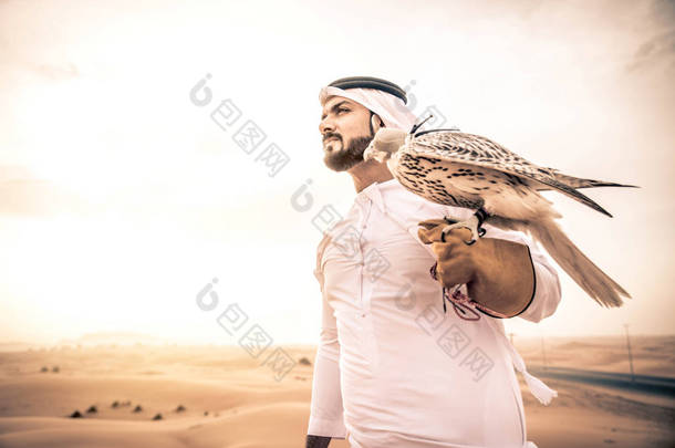 阿拉伯男子与鹰