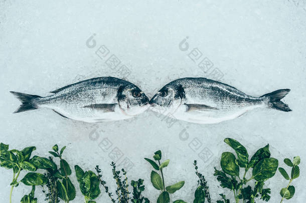 美食健康鱼和香草在冰上的近距离观察