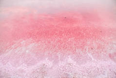 粉红湖中的盐水和盐，以其抗氧化性能而闻名，用 β-胡萝卜素丰富水，用于医药、皮肤科和温泉