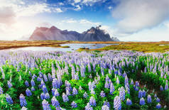 在冰岛的河流和山脉风景如画的景色.