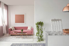 真正的照片粉红色的沙发, 植物在客厅内部和开放空间厨房岛