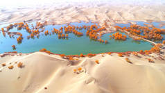 2018年10月23日，中国西北新疆维吾尔自治区塔里木市，在沙漠中形成秋景。