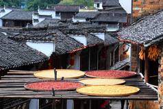 Hot peppers, corns, chrysanthemum flowers, and other crops and harvests are dried on roofs and racks