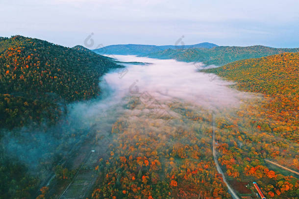 2017年9月22日, 在中国东北吉林省<strong>长白山</strong>保护区, 鸟的景色显示了森林中五颜六色的树叶的秋景
