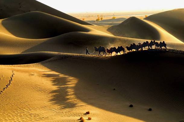 2013年10月29日, 在中国西南新疆维吾尔自治区塔里木盆地的塔克拉玛干沙漠 (又名塔克拉玛干沙漠) 散步