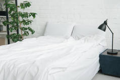 床与白色毯子和枕头, 植物和灯在床头柜上