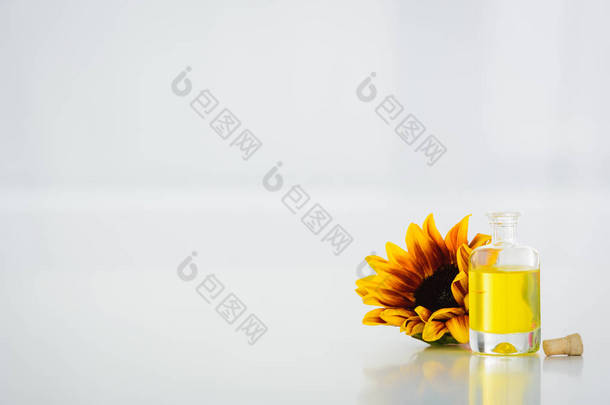向日葵靠近玻璃瓶与葵花籽油的白色背景