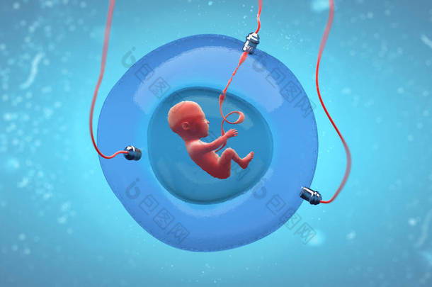 胎儿在人工妊娠囊中发育的概念图示