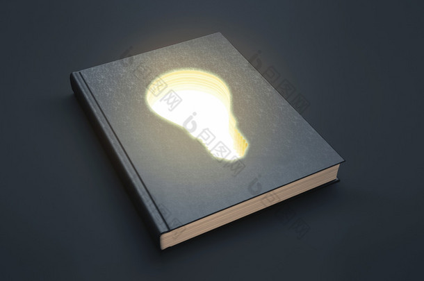 照明用灯的书