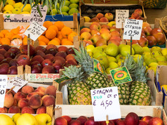 水果市场展出