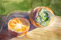 柿水彩画画