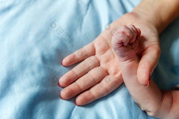 小宝宝牵着妈妈的手。小婴儿的手上的雌性形状的手特写。妈妈和她的孩子。幸福的家庭观念。美丽的母性概念形象
