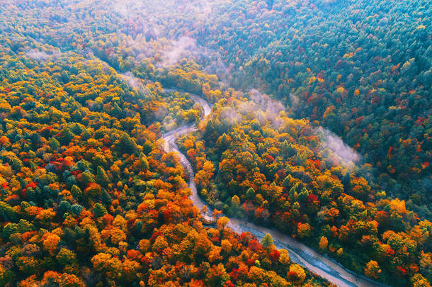 2017年9月22日, 在中国东北吉林省<strong>长白山</strong>保护区, 鸟的景色显示了森林中五颜六色的树叶的秋景