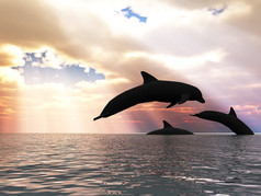 三个海豚和神奇的天空