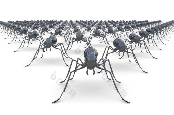 楔窗体<strong>军队</strong>的孤立在白色背景上的蚂蚁