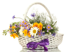 束美丽的明亮的野花在篮子里上白色, 隔离