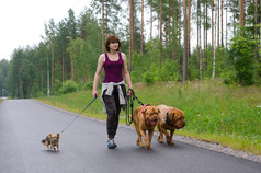 一个女孩和她的狗夏季森林里走