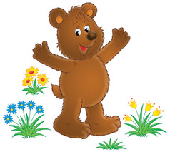 快乐棕色的熊