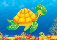 海龟游泳上方一片珊瑚礁